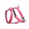 BBR-DH-BLOOM-PINK-L